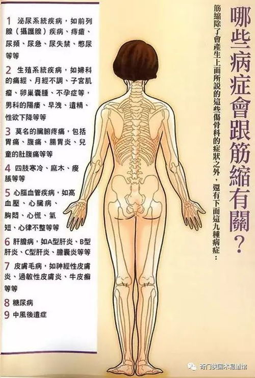 不舒筋骨,談何養生 論 打熬筋骨