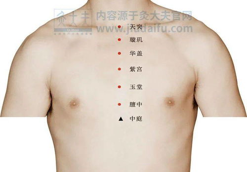 小雪 節氣養生正當時,冬日滋補秘訣,看這篇就夠啦