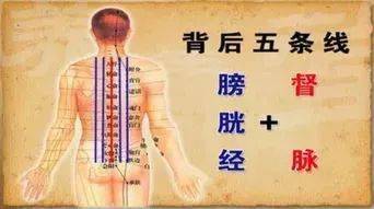 脊柱,男人的龍脈,女人的鳳骨 這樣保養,疾病去無蹤 艾灸