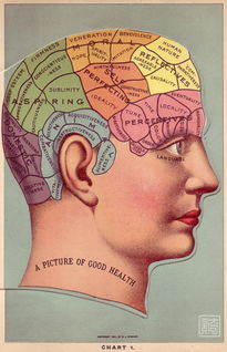 從醫(yī)學(xué)到預(yù)言術(shù),歐洲人曾癡迷 摸骨算命 長(zhǎng)達(dá)百年