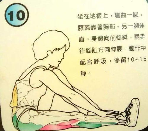 筋長(zhǎng)一寸,壽長(zhǎng)十年,養(yǎng)生必學(xué)的拉筋術(shù)