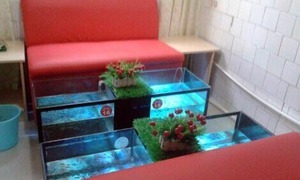 【秋香理療館】摸骨整脊推拿套餐,男女不限_團800南昌團購網站大全