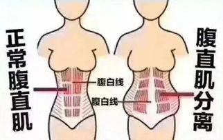 正骨竅要,全在摸法