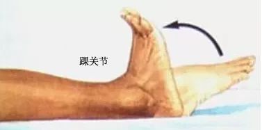 養(yǎng)生大咖 生命在于勤運動,關節(jié)在于省著用 骨科大咖林瑞新 中年健身有講究,一招保護膝關節(jié)