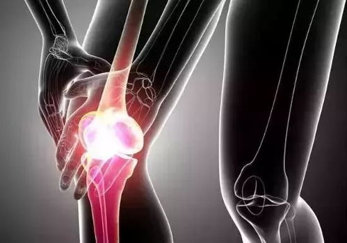 古法養(yǎng)生 艾珍好蘄艾暖膝灸,暖冬呵護