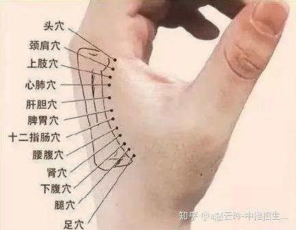 這塊骨頭硬的人,一般都長(zhǎng)壽,為什么