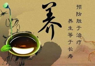 殼好睡眠 第四波寢具革命引領(lǐng)者