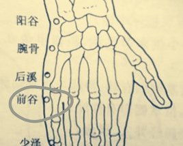 養生系列之穴位篇43 少澤 前谷 后溪 腕骨之說