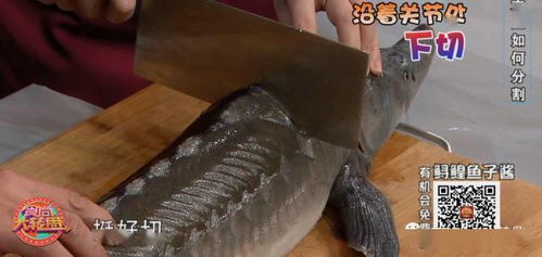 家有大魚沒鍋燉 教你摸骨分割大法