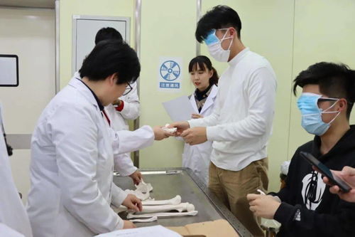 通訊 2020年摸骨 摸骨大賽 于臨床解剖中心順利舉行