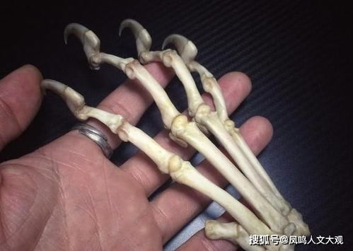 長壽的人,55歲后往往有以下4個表現,能占一個,也值得恭喜 身體