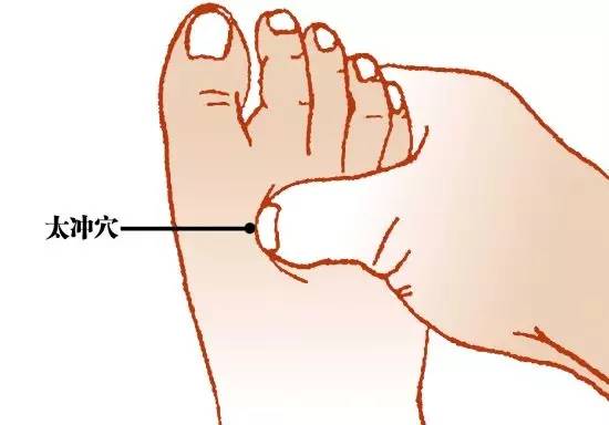 穴位 穴位養生寶典,百試百靈