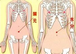 日常經絡養生 手 頭 臉 耳 腿 身體穴位