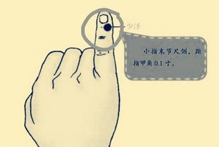 養生系列之穴位篇43 少澤 前谷 后溪 腕骨之說