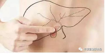 五種癥狀幫你自測肝病風(fēng)險(xiǎn)，結(jié)合摸骨養(yǎng)生法護(hù)肝健康