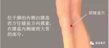 7月是祛濕最佳時(shí)機(jī)，摸骨養(yǎng)生推薦每天一杯，濕毒全消身輕松