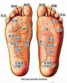 筋、骨、肉、脈、皮毛 中醫(yī)養(yǎng)生五要素與摸骨養(yǎng)生法