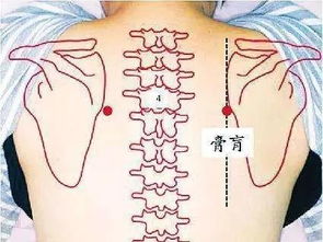 神奇的膏肓穴 摸骨養(yǎng)生，探秘人體自愈之源