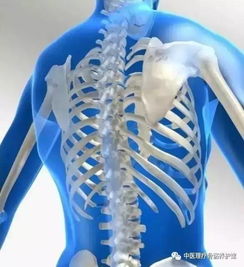 骨骼保養已刻不容緩 骨健寶為國人撐起民族的脊梁——全國骨骼養護日特別報道