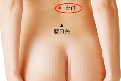 脊柱 男人的龍脈，女人的鳳骨——艾灸與摸骨養(yǎng)生，讓疾病去無蹤