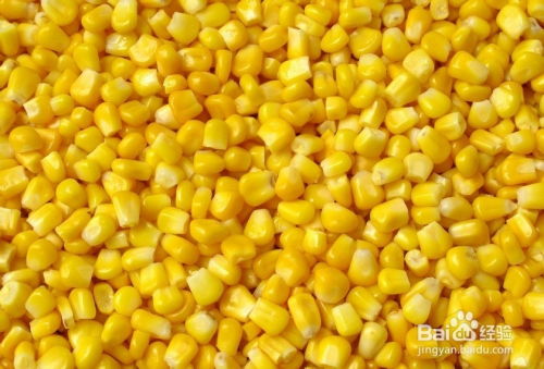 從玉米的滋養(yǎng)到摸骨養(yǎng)生 探尋傳統(tǒng)與現(xiàn)代的健康智慧