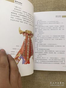 摸骨正脊術(shù) 古老智慧中的現(xiàn)代養(yǎng)生之道