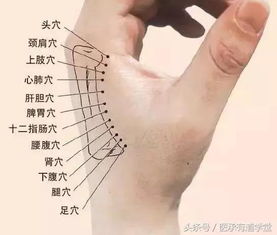摸骨知健康，一按調百病 探秘傳統養生中的摸骨療法